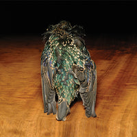 starling-skin_0000