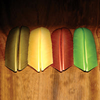 turkey-biot-quills