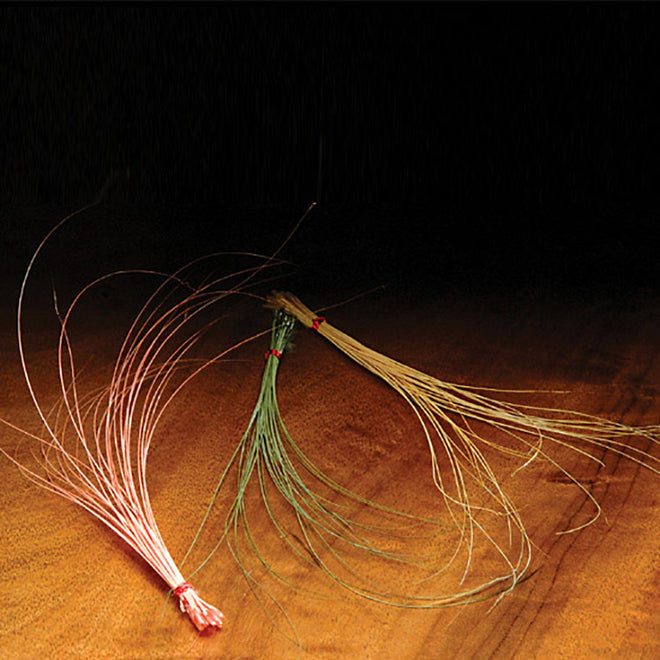 quill-body