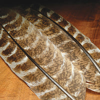ozark-oak-mottled-turkey-quills_0000