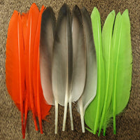 duck-quills