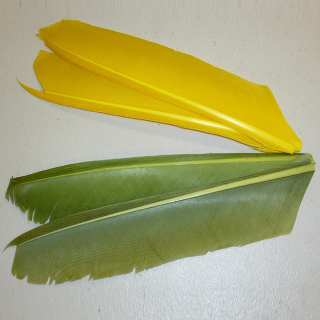 Turkey Biot Quill Pieces