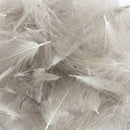 Natures-Spirit-Duck-CDC-Natural-Mallard