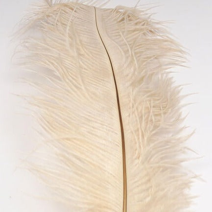 10 - 12" Ostrich Herl