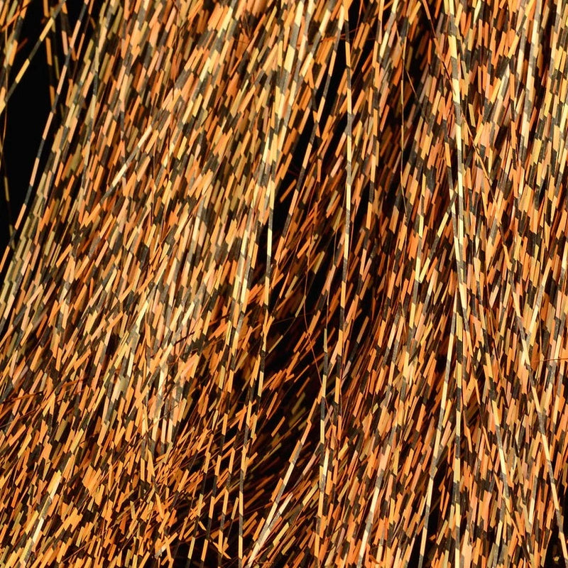Orange_271_1024x1024_5650aba6-0e5e-46e7-9d83-ec41b