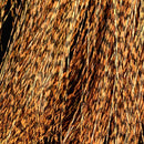 Orange_271_1024x1024_5650aba6-0e5e-46e7-9d83-ec41b