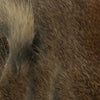 Complete Micro Stripped Pine Squirrel Hide
