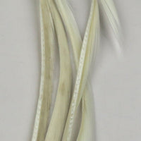 SGB377