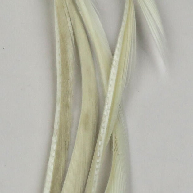SGB377