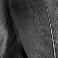 SGS11