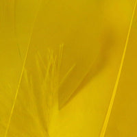 SGS383