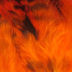 hot orange
