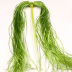 light olive