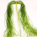 SLFX212_919e76f0-57a6-4f34-8ce2-031caa89241d