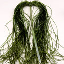 SLFX95_0d20a7e9-ecb1-44b1-8921-fac6ee7d1b3c