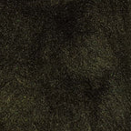 blue wing olive