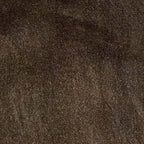 callibaetis