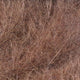 rabbit-dubbing_BRWN