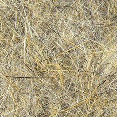 rabbit-dubbing_HAER