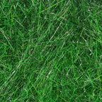 insect green