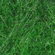 hares-ear-plus-dubbing_INGR