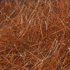 reddish brown