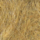 hares-ear-plus-dubbing_TTAN