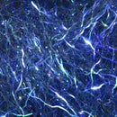 creepy-crawley-ice-dub_DKOL