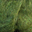 arizona-mega-simi-seal_DELE