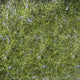 fly-fish-foods-bruiser-blend_MEOL