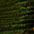 Chenille, Medium