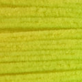 Chenille, Medium