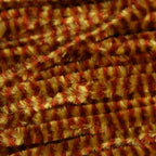 brown/yellow