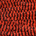 Variegated Chenille Medium