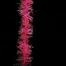 krystal-flash-chenille