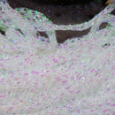 solid-diamond-braid-tinsel_PERL