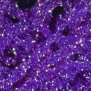 dyed-pearl-diamond-braid_PURP