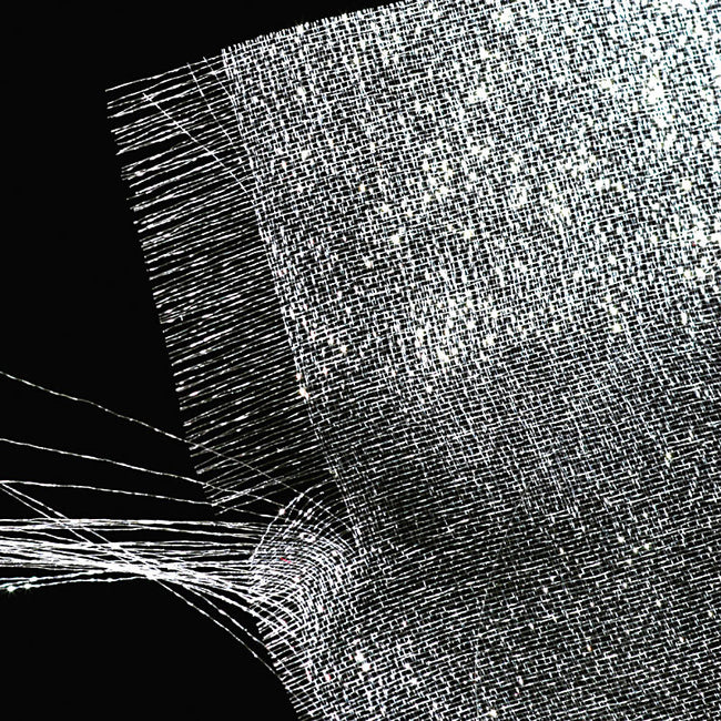 Sparkle Organza