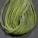 grizzly-flutter-legs_OLIV