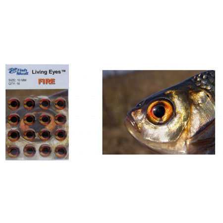 Fish-Skull Living Eyes