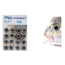 fish-skull-living-eyes