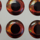 fish-skull-living-eyes_0303