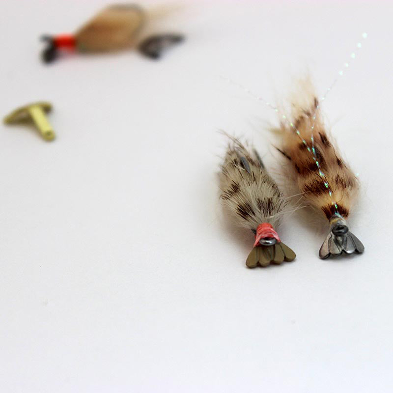 fish-skull-shrimp-cray-tails