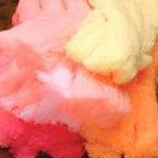 mcflyfoam_CLWN