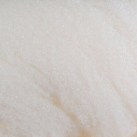 mcflyfoam_CREM