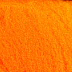 steelhead orange (fl.)