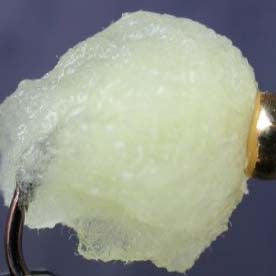 eggstasy-nx-gen-fibre_FLCH