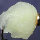 eggstasy-nx-gen-fibre_FLCH