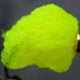 eggstasy-nx-gen-fibre_FLYE