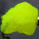 eggstasy-nx-gen-fibre_FLYE